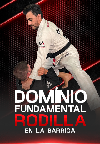 Módulo 6