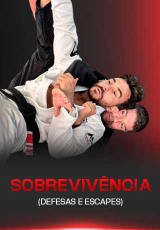 Módulo 7